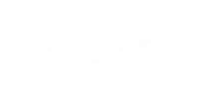 partners who work with BadshahCric